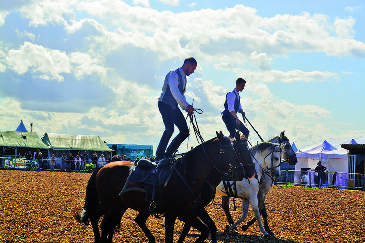 Dressage équin et voltige cosaque avec Ia Compagnie de Forges-les-Eaux.