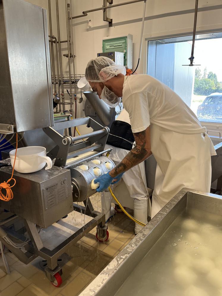 Un rouleau composé de moules permet de former des boules de mozzarella de différentes tailles.