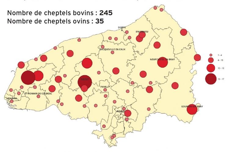 Répartition des 280 cas positifs de FCO-3 en Seine-Maritime.