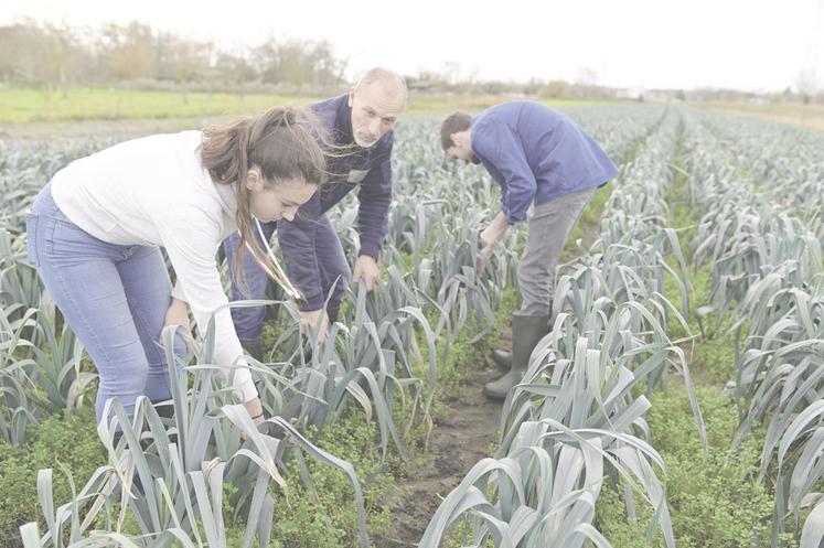 Ouvrir les portes de votre exploitation à un stagiaire ou un apprenti, c'est bien plus qu'un simple geste de transmission. C'est un véritable investissement pour l'avenir, aussi bien pour vous que pour le secteur agricole.