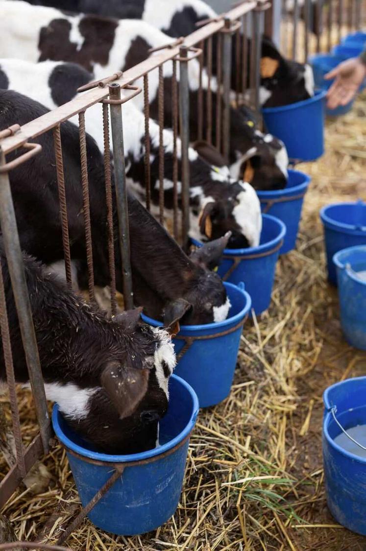 L'élevage bovin français subit ces dernières années de nombreuses crises sanitaires qui s'enchaînent et s'accumulent, mettant en péril la souveraineté alimentaire de notre pays. 