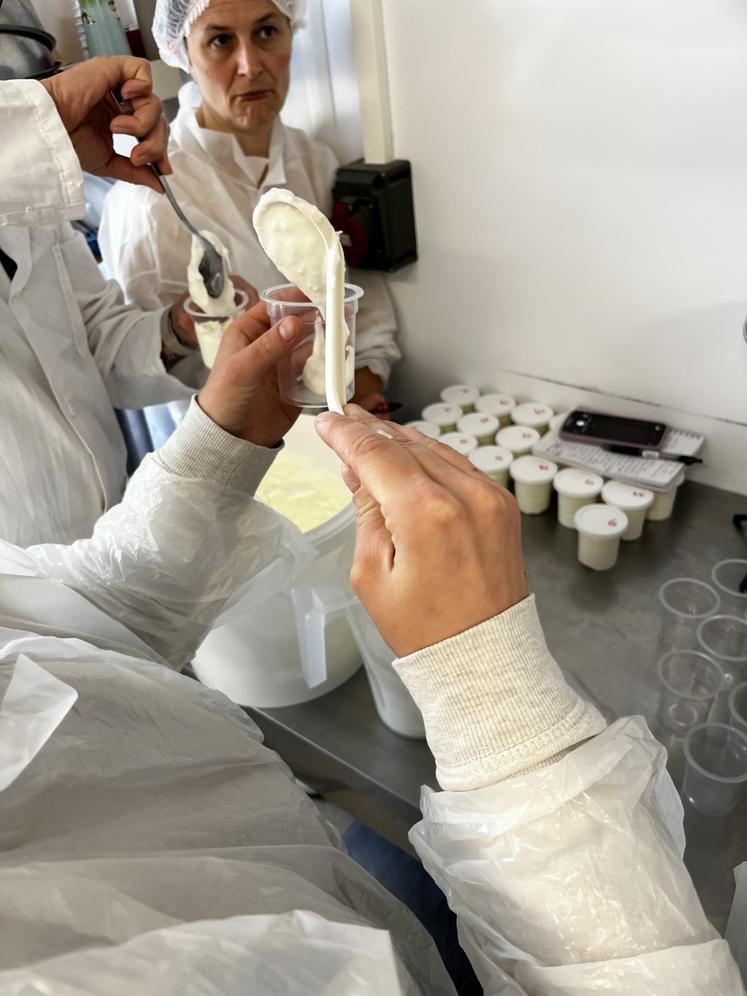 Mise en pot du skyr.