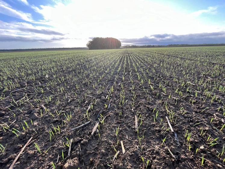 Jeunes agriculteurs souhaite rénover l'indice du fermage face au changement climatique en le territorialisant.
