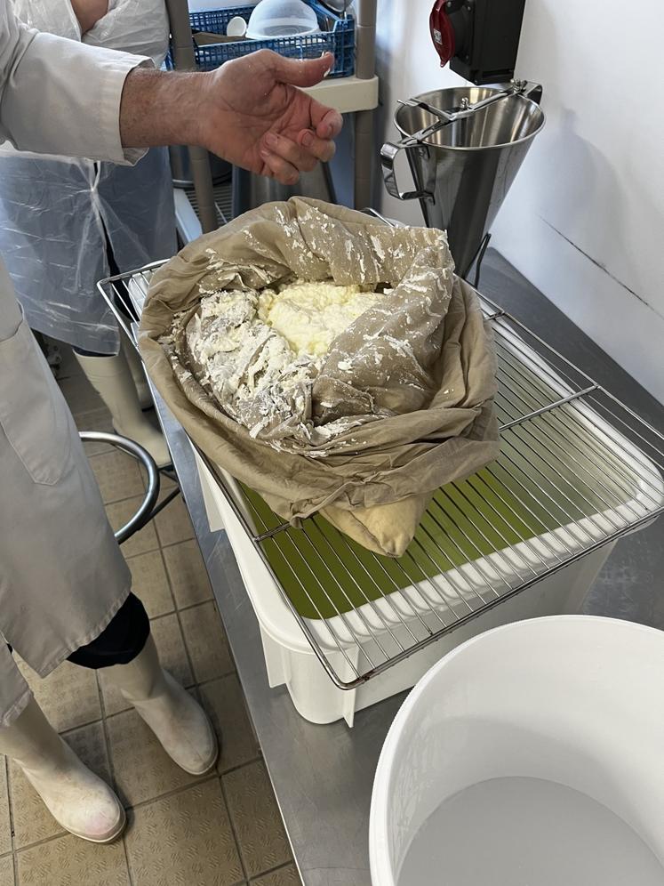 Ouverture du sac après égouttage. 10 litres de lait écrémé ensemencé ont donné 4,7 kg de skyr. Un excellent ratio.