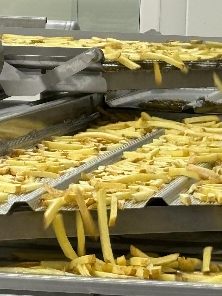 Une dizaine de producteurs adhérents vont approvisionner l'usine qui produira entre 6 000 à 8 000 tonnes de frites tous les ans.