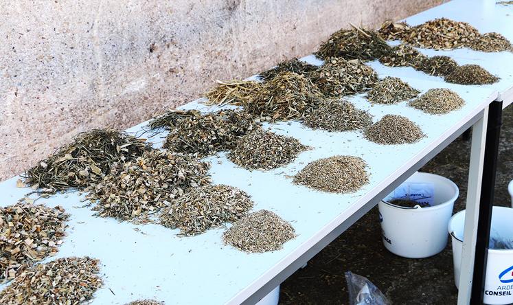 L’analyse des fourrages est nécessaire pour bien identifier la composition, la digestibilité et les valeurs alimentaires.