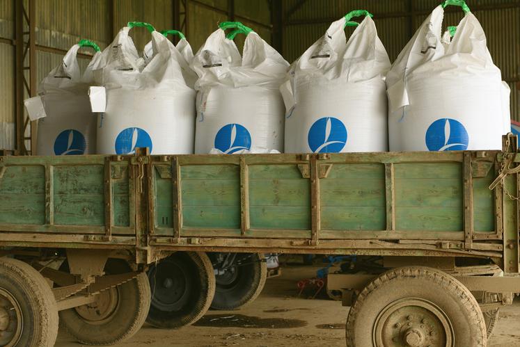 Dès le 1er janvier 2026, le Macf va provoquer une explosion des coûts de production, déjà intenables des engrais.