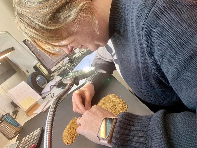 Chaque lot est analysé dans le laboratoire. Pour l'oisellerie, 2 % d'impuretés seulement sont tolérés.