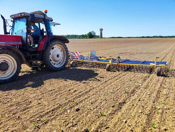63 % d’efficacité pour la chimie seule, 82 % pour la modalité mixte, et 45 % pour la herse étrille en solo.