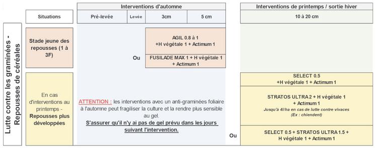 Figure 1 : proposition de stratégie de désherbage pour gérer une infestation précoce et forte de flore graminée.