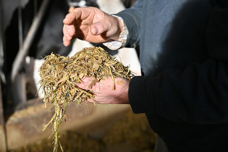 Ensilage de trèfle, luzerne, ray-grass, maïs, foin, pulpe surpressée, toutes les productions sont issues de la ferme.