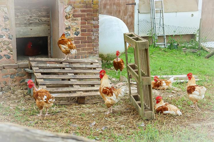 Les bâtiments sont tous ouverts sur des parcours plein air.