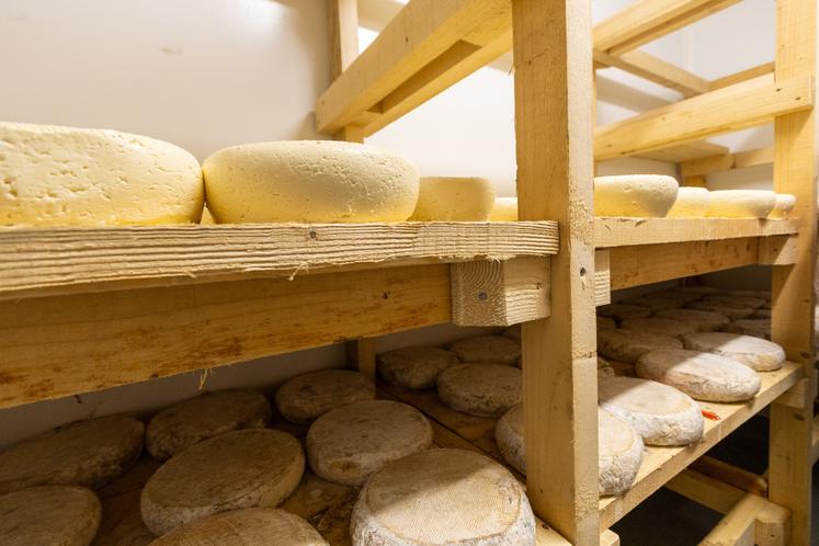 Une cave à fromages bien conçue tant sur le plan organisationnel que sanitaire.