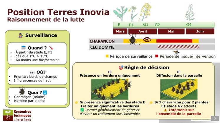 Avec une surveillance régulière, un traitement des bordures peut suffire.