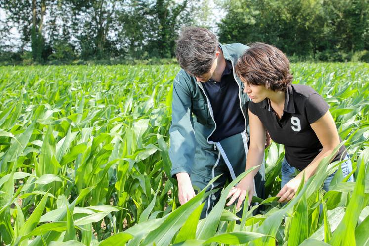 "Être conjoint(e) sur une ferme, ce n'est pas juste donner un coup de main, c'est un vrai engagement". 