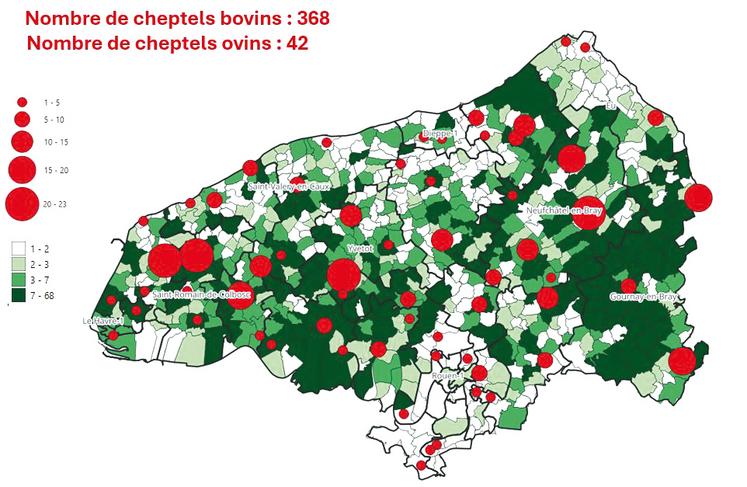 Répartition des cas positifs de FCO en Seine-Maritime
