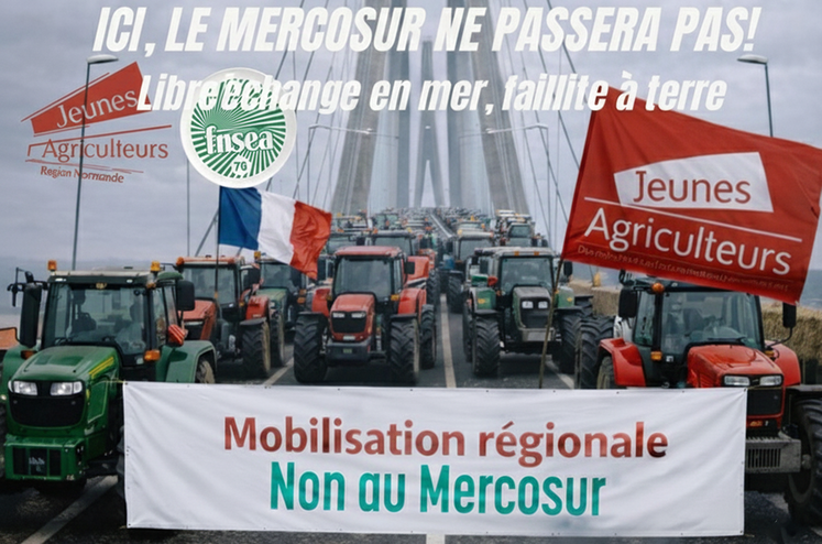 Mobilisation syndicale le 10 janvier sur le pont de Normandie.