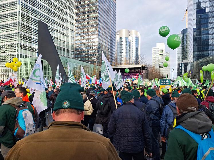 4 000 agriculteurs français sur les 10 000 venus de toute l'Europe, mobilisés pour faire front commun.