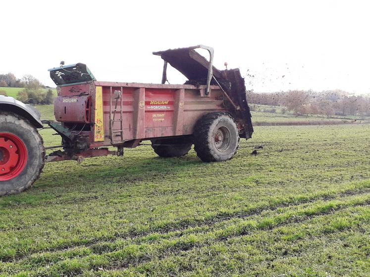 L'épandage du fumier de plaquettes de bois se réalise sans difficulté.