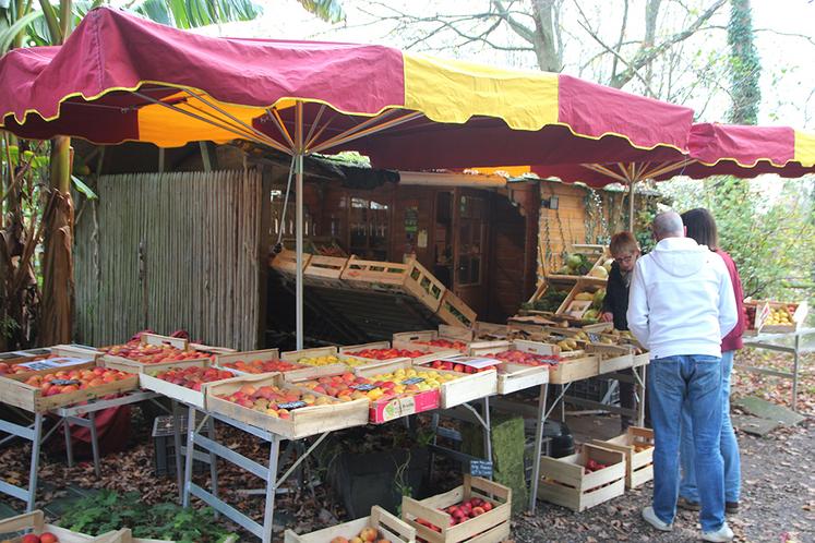 En quelques heures, le petit magasin à la ferme accueille une cinquantaine de clients appréciant de « voir ce qu’ils achètent » et « échanger avec le producteur ».