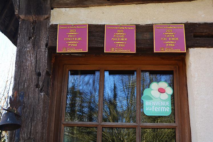 Laurent et Arthur Anquetil participent à de nombreux concours de volailles. Lors de celui qui s’est tenu à l’Abbaye aux dames de Caen en 2023 comme en 2024, ils ont remporté plusieurs premiers prix soulignant l’excellence de leurs productions.