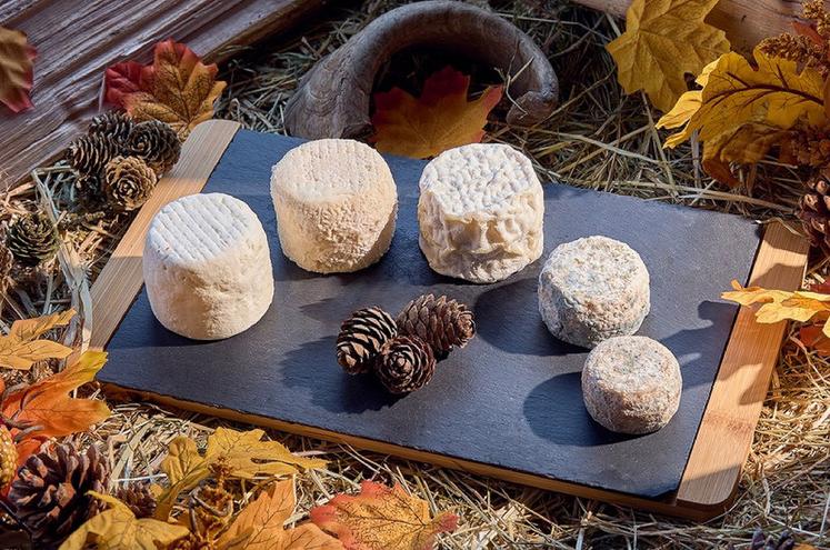 Le crottin frais, mi-frais, affiné ou sec, pour tous les goûts.