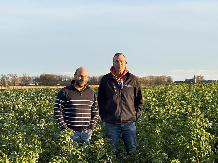« La qualité sanitaire du plant de Seine-Maritime est reconnue et nous faisons tout pour la maintenir » soulignent de concert Enrick de Brabandère (à g.), agriculteur et président du syndicat des producteurs de plants de Seine-Maritime, et Valentin Lévêque, inspecteur du Comité Nord.