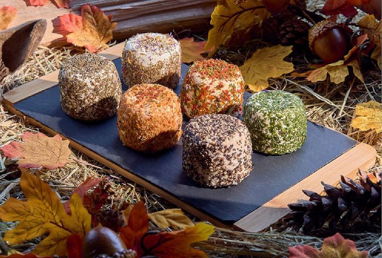 Un joli plateau de crottins, plus inattendu : l’aromatisé au poivre noir, aux herbes de provence, à l’ail des ours, au duo de poivrons, à la saveur mexicaine, mais aussi le crottin fleur, marbré, ou encore celui de Noël, au pain d’épices.