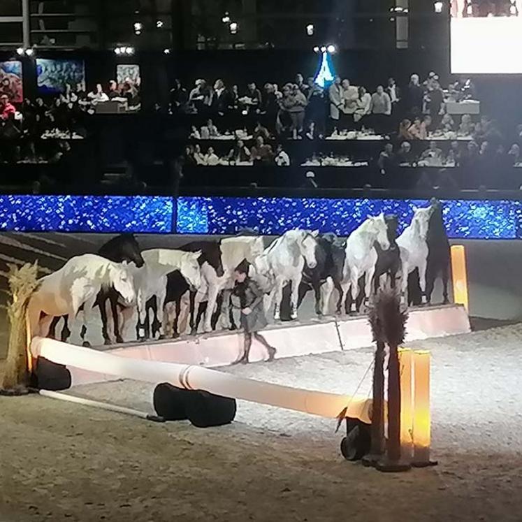 Lorenzo et ses chevaux.