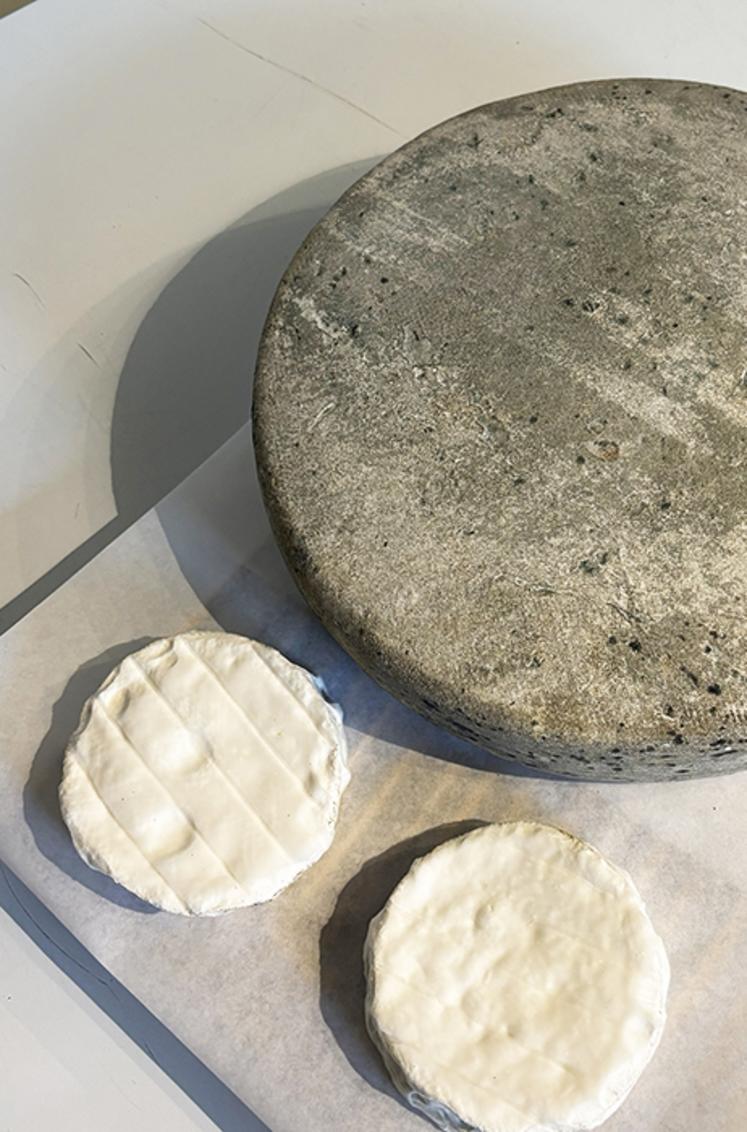 Un plateau de fromages spécial Ferme de la Seine.