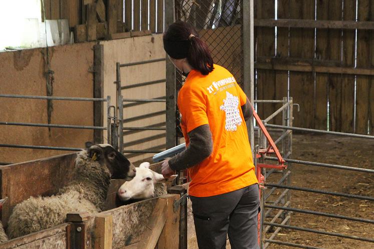 Loan, apprentie au CFA d’Yvetot, a été la première de la journée à se lancer sur l’épreuve d’identification et de tri.