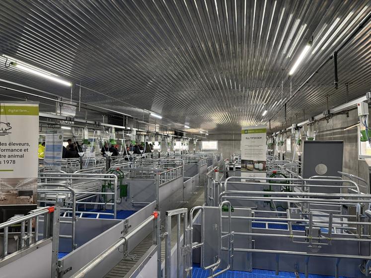 L'espace est très lumineux avec une bonne visibilité sur l'ensemble de la maternité.