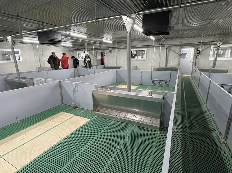 Les salles post-sevrage accueillent 30 porcelets par case et le confort des animaux a été privilégié.