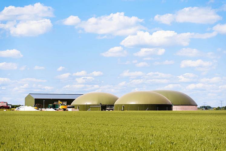 Valoriser ses couverts intermédiaires à des fins énergétiques sécurise les approvisionnements d’un méthaniseur.