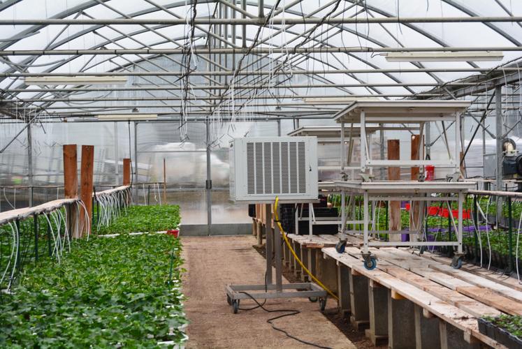 Ce déshumidificateur utilise une technologie initialement conçue pour les piscines couvertes. " Sans cela, l'humidité ruissellerait partout ".