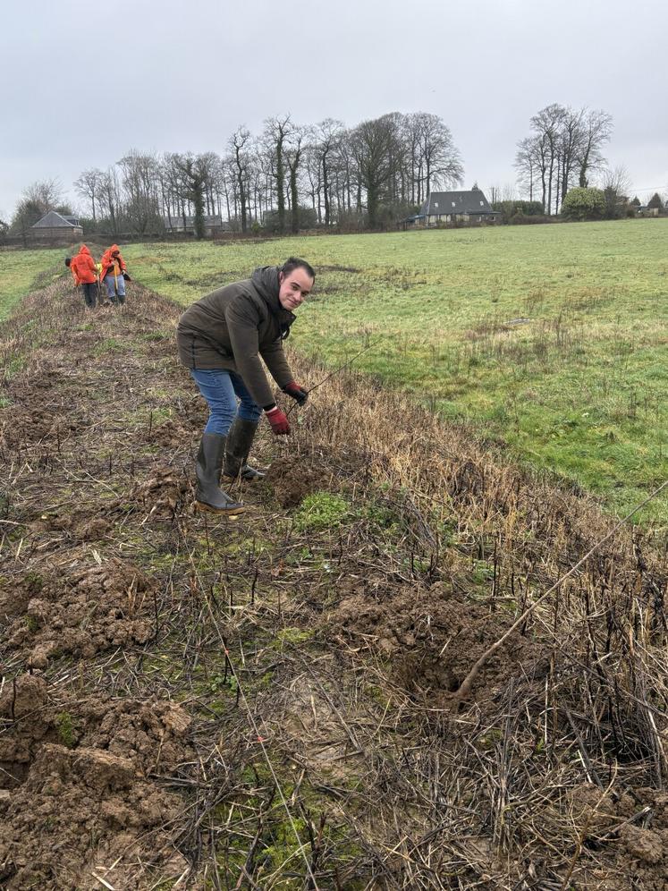 Au printemps 2027, Maxime Lemaire sera formé pour bien tailler ses futurs arbres de haut jet. Pour le moment, la plantation s'est déroulée dans d'excellentes conditions.