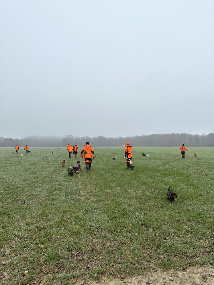 « La chasse, c'est une question de responsabilité. On participe aux comptages afin d'adapter les prélèvements aux réalités du terrain. On ne dépasse jamais ce que les populations de gibiers peuvent supporter ».