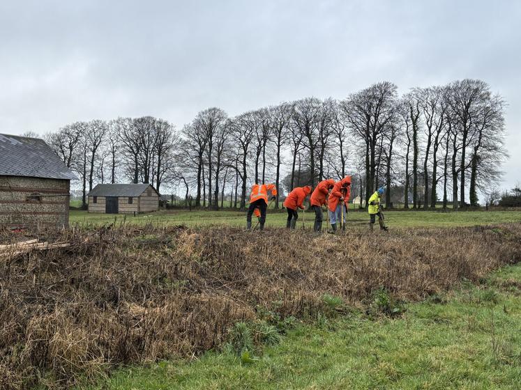Le talus a été installé il y a un an, le temps que l'activité biologique reprenne. 