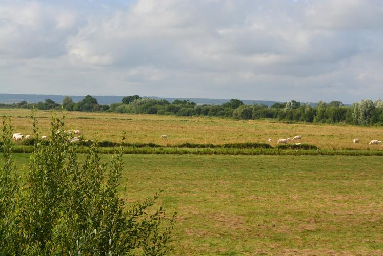 Une étude en cours déterminera le sort de la fertilisation sur les marais de Cressenval et du Hode.