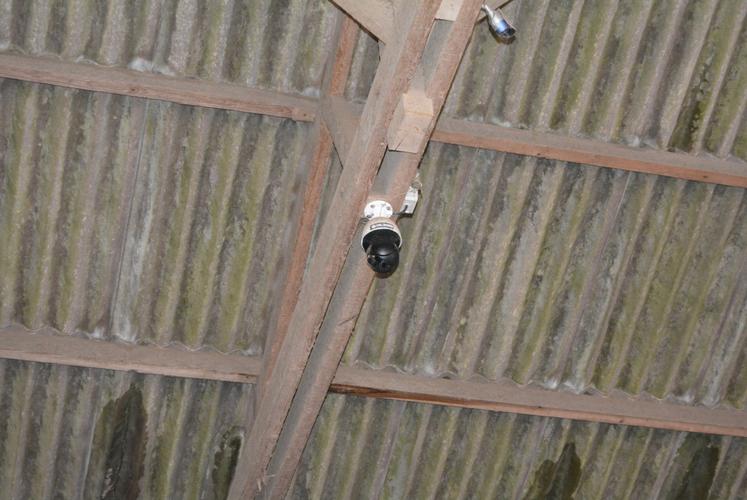 Les caméras de vêlage permettent à Victor Lesage de surveiller ses bêtes à distance et 24 h/24.