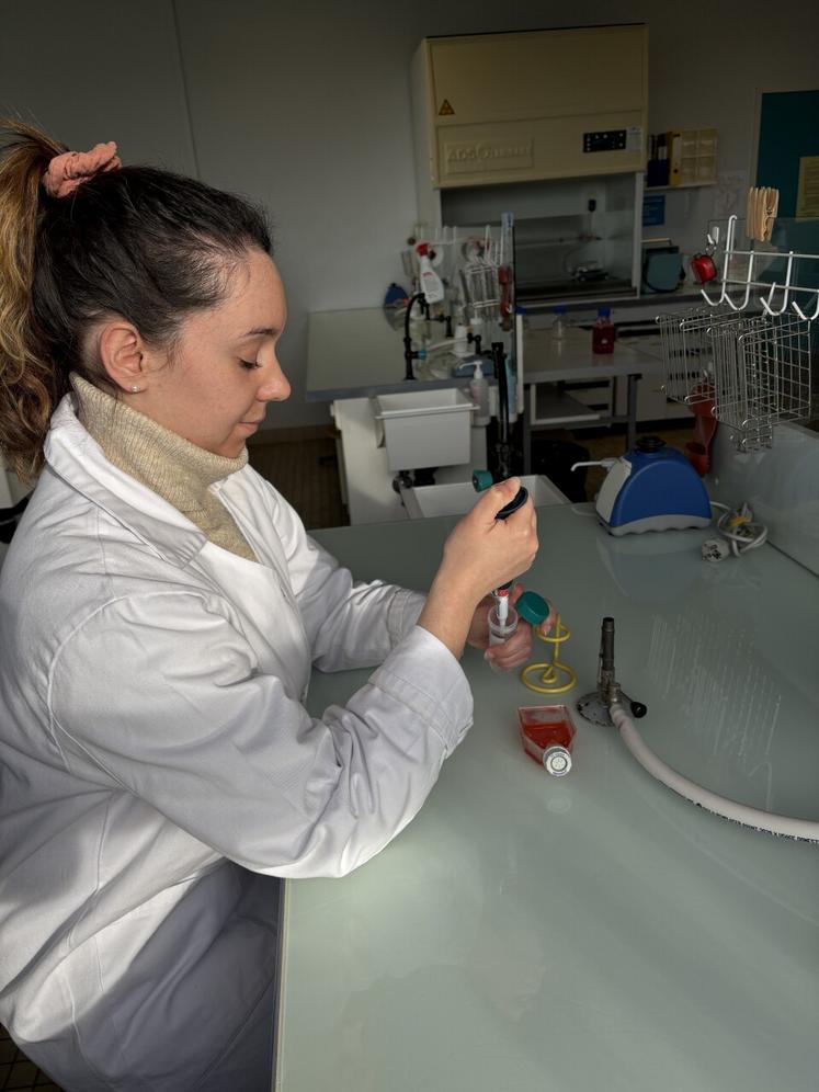 Les secteurs d'activités en lien avec le travail de laboratoire sont très variés : agroalimentaire, pharmaceutique, cosmétique, médical, environnemental.