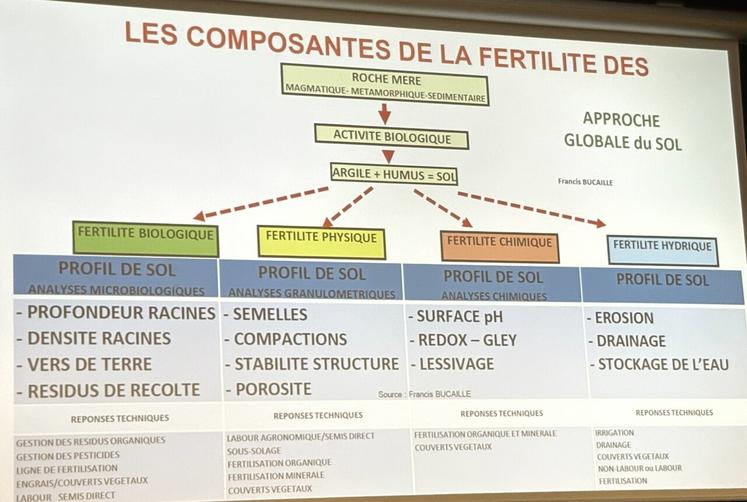 Les quatre niveaux de la fertilité du sol : biologique, chimique, physique et hydrique. L'un ne fonctionne pas sans l'autre, chacun ayant un impact sur les trois autres.