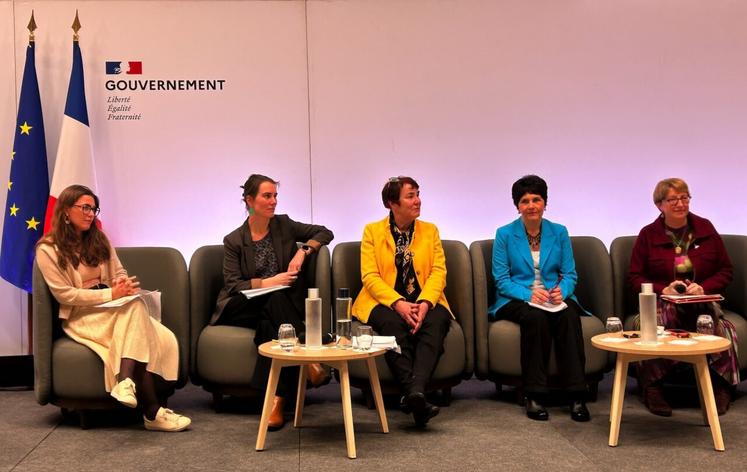 " Les femmes rurales apportent beaucoup aux territoires ", déclare Sophie Orange, sociologue à Nantes-Université.