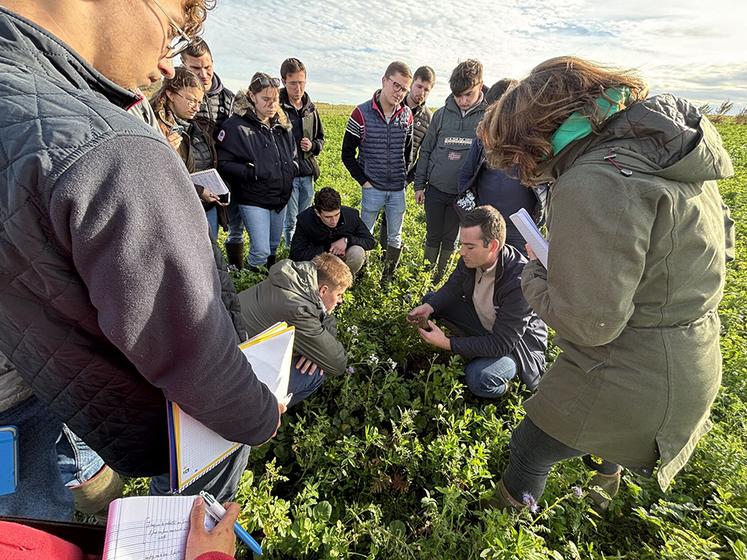 Le titre de TEA est de niveau 4. Il attribue la capacité agricole. Les apprenants deviendront ainsi des chefs d’exploitation, des techniciens de production agricole ou des chefs de culture.