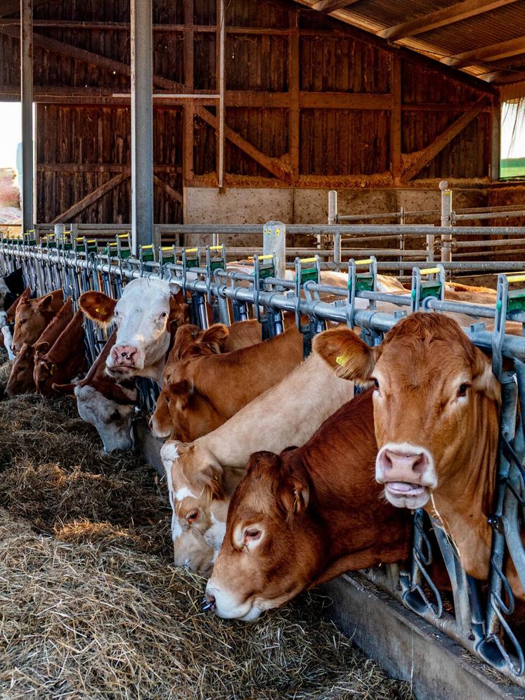 Pour négocier les prix d'égal à égal, l'éleveur doit s'appuyer sur des documents officiels. 