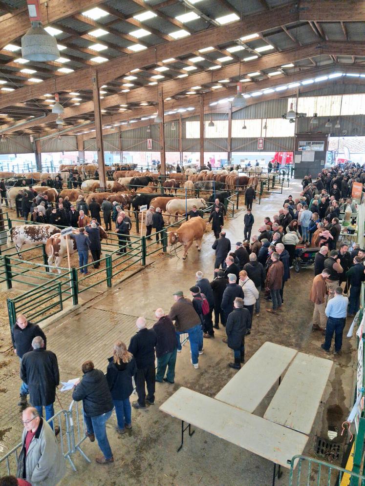 Le Forum des races à viande le 23 mars à Forges-les-Eaux, un rendez-vous incontournable pour les éleveurs allaitants du département.