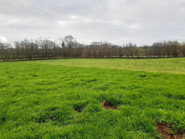 Différentiel de stock sur pied créé par le déprimage d'une parcelle.
