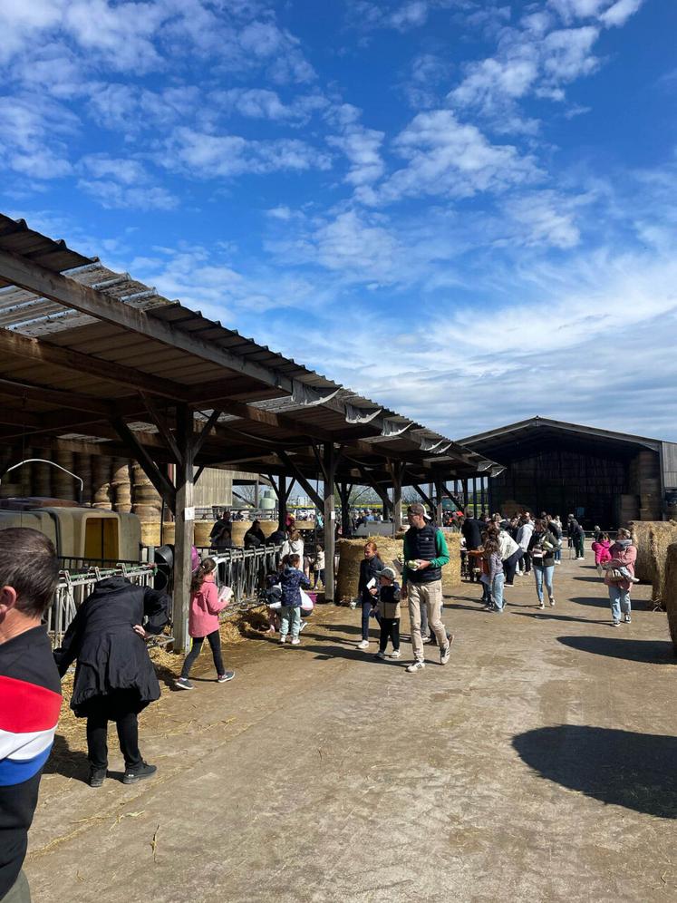 Chasse aux œufs organisée par les JA de Seine-Maritime (archive).