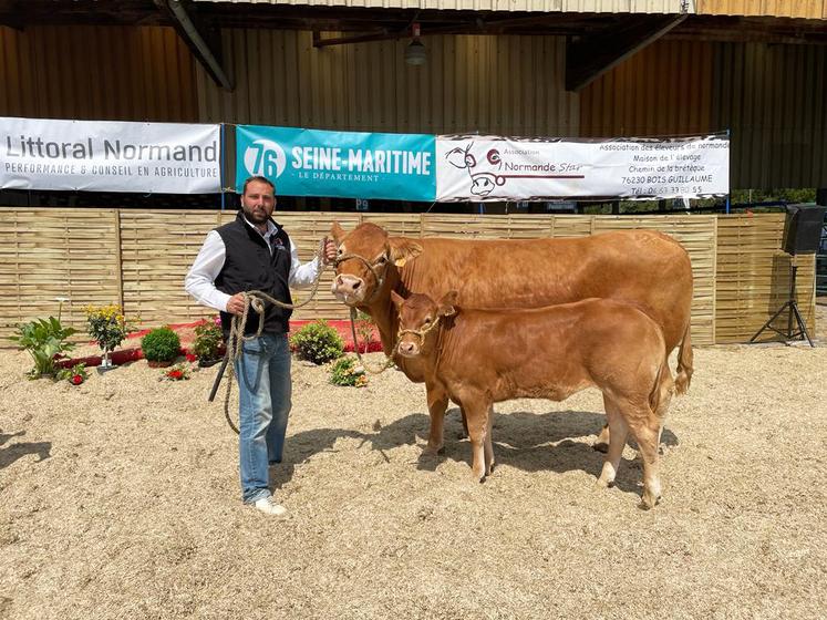 Les vaches d'Anthony Grisel sont inscrites au Herd Book limousin.