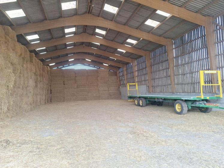 La paille manque en ce début de mois de mars dans les hangars.
